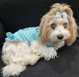 img 20250531 wa0101 img 20250531 wa0101