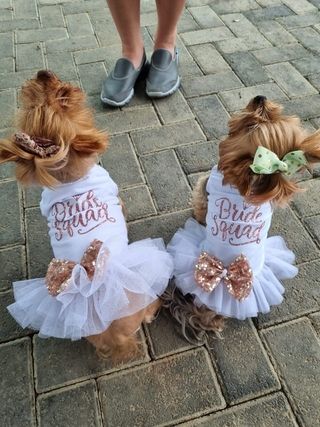 img 20250531 wa0109 img 20250531 wa0109