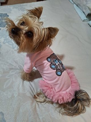 img 20250531 wa0110 img 20250531 wa0110