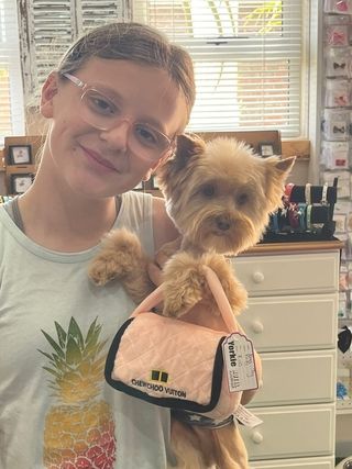 img 20250601 wa0011 img 20250601 wa0011