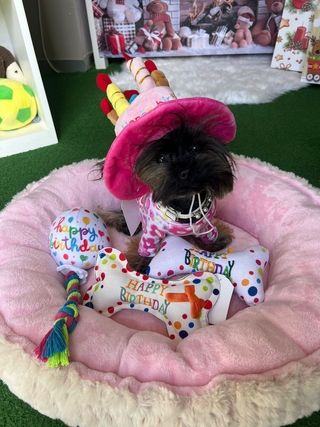 img 20250601 wa0024 img 20250601 wa0024