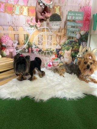 img 20250601 wa0025 img 20250601 wa0025