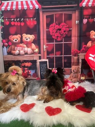 img 20250601 wa0026 img 20250601 wa0026