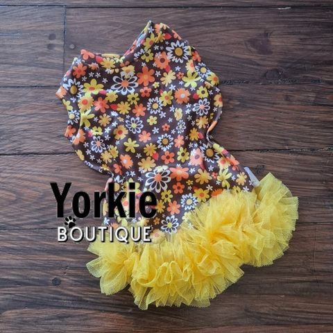 watermark20240126145929046 Frilled Dog Vest