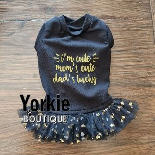 watermark20231102170359260 watermark20231102170359260