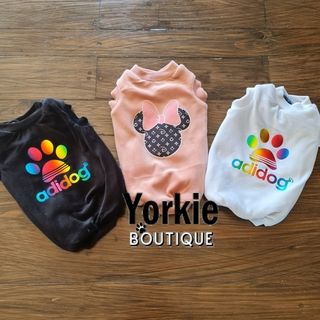 watermark20240423175141531 watermark20240423175141531