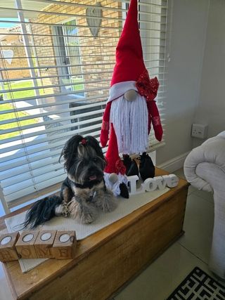img 20250602 wa0045